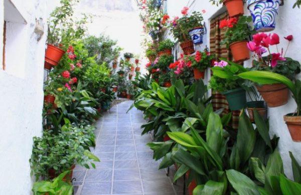 La Casa De La Plaza Lägenhet Guejar Sierra Exteriör bild