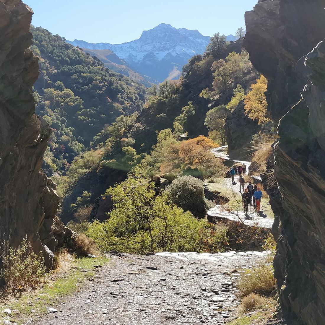 La Casa De La Plaza Lägenhet Guejar Sierra Exteriör bild