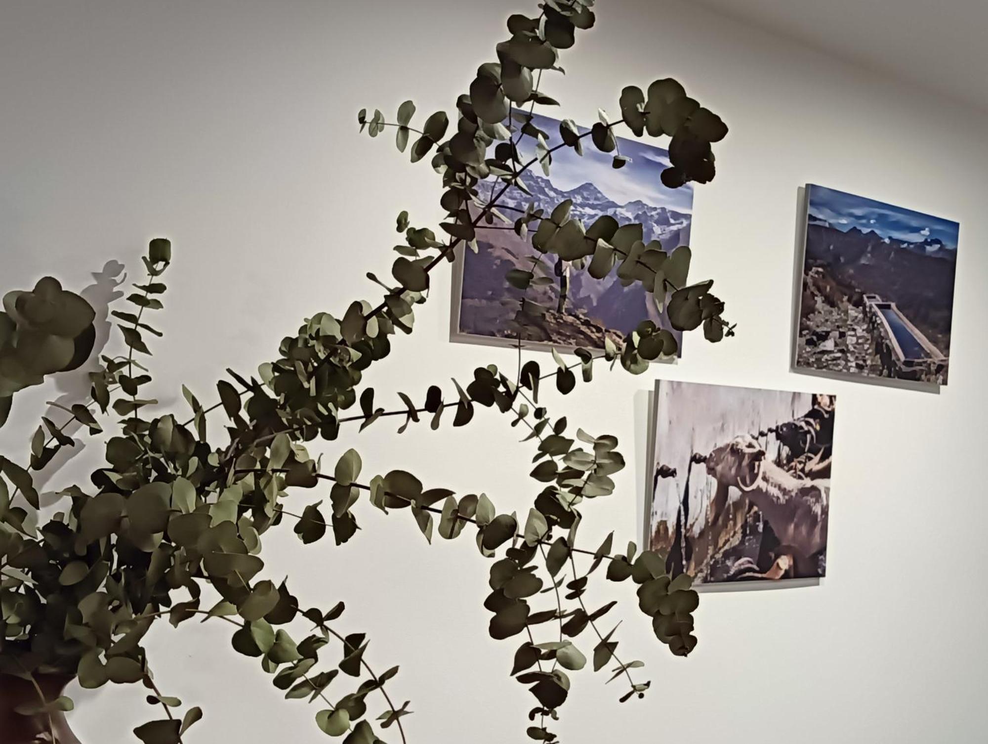 La Casa De La Plaza Lägenhet Guejar Sierra Exteriör bild